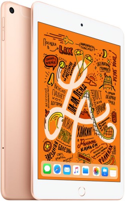 Apple iPad mini 64Gb Wi-Fi 2019 Gold - вид 1 миниатюра